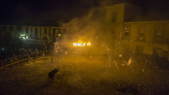 [사진] 토르 드 주빌로 ‘불 붙은 황소를 피해라!’