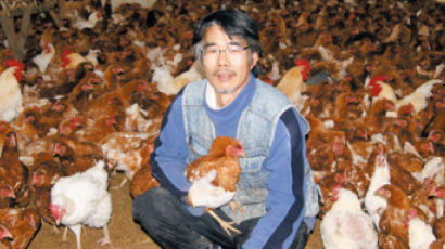 "닭은 나의 동업자" … 자연농법으로 황금알 낳는다