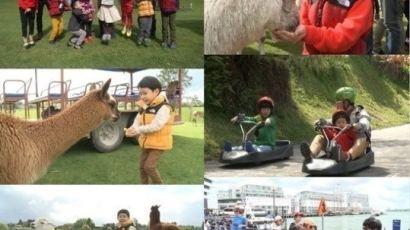 아빠 어디 가 뉴질랜드 사진 "라마에게 먹이주는 아이들은?"