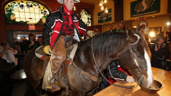 [사진] 말에게 맥주 먹여 승리기원, 마네킨에게는 녹색 옷 입히고.