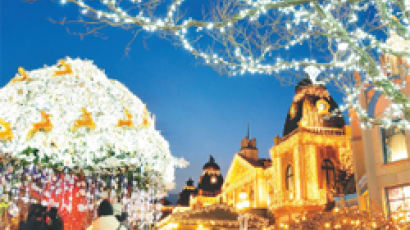 [에버랜드 소식] 수백만 개 전구 장식 ‘크리스마스 판타지 축제’