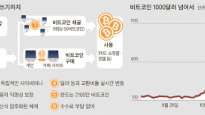 비트코인 값 폭등 … 진짜 돈 될까