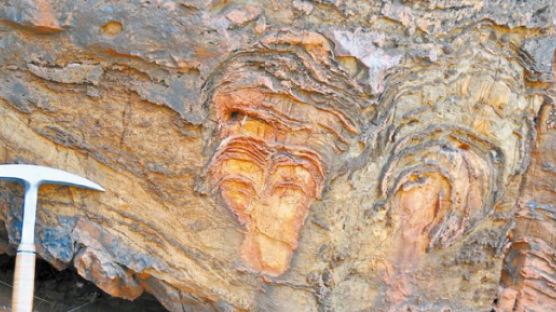 지구 첫 생명체는 35억년 전 호주 필바라서 탄생?