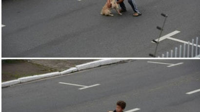 강아지를 구한 11살 소년, "잠깐만요!" 도로 한복판 강아지 구출작전