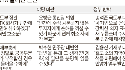 서승환 "수서발 KTX 민간 매각 땐 면허 취소하겠다"