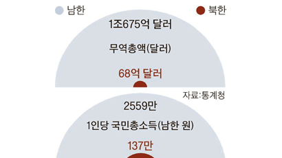 북한 1인당 국민소득, 남한의 19분의 1