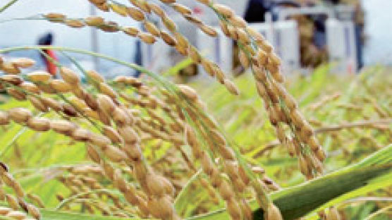 "친환경 농법 쌀, 소비자·전문가들이 명품 인정"