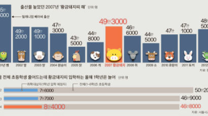 황금돼지띠 효과 "넘치는 아이들에 교실 부족한 상황까지…"