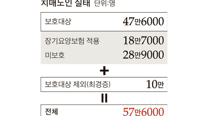 국가 수발 못 받는 치매노인 29만