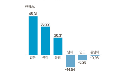 선진국 '대박' 신흥국 '쪽박'… 해외주식형 희비 엇갈려