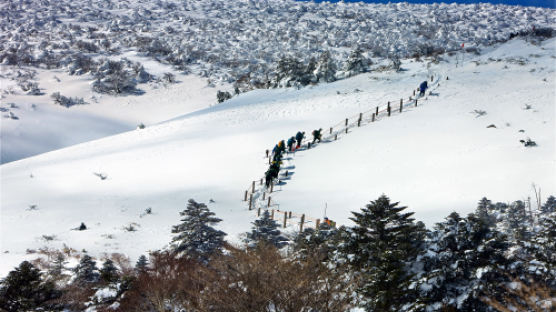 한라산 설경, 1m이상 쌓인 눈…하루 7000여 명의 관광객 몰려