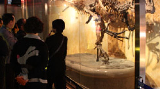 잘 나가는 곳도 있다, 연 방문객 23만 공룡박물관