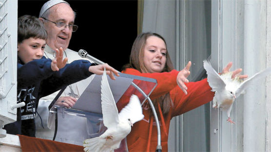 [사진] 까마귀에 공격 당한 교황 비둘기