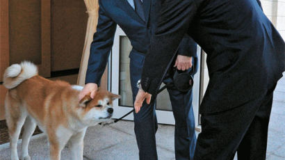 [사진] 노다의 개 데려온 푸틴 "가끔 문다"