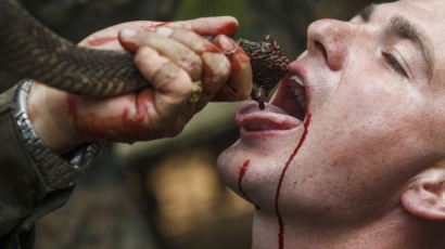 [사진] 뱀 피 먹고, 물어 뜯고… 무시무시한 훈련