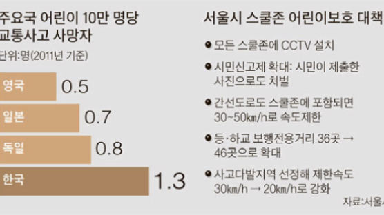 모든 스쿨존에 CCTV, 사고 줄일까