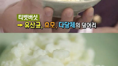 티벳버섯 우유 요구르트,"집에서 손쉽게 숙성시켜 먹는 건강식품"