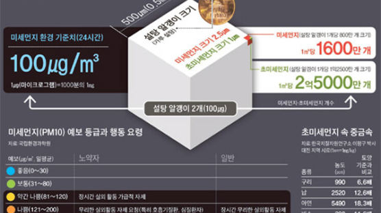 1시간에 초미세먼지 1억개 마셔 … 너무 작아 폐 속까지