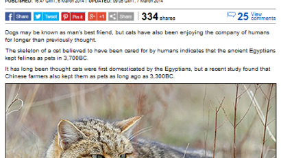 벨기에연구팀 "고양이는 사람과 5700년전부터 친구였다" 