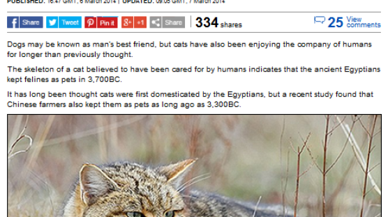 벨기에연구팀 "고양이는 사람과 5700년전부터 친구였다" 