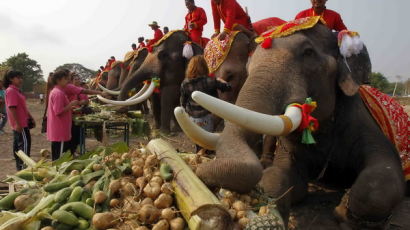 [사진] 태국 코끼리의 날