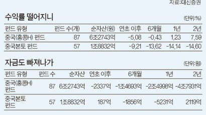 '미운 오리' 중국펀드 어찌하오리까