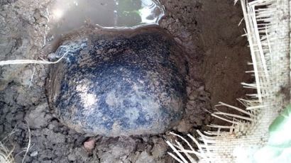 진주 운석 추가 발견,80대 노인이 발견한 검은 돌덩이…"4억원 웃도는 가격?"