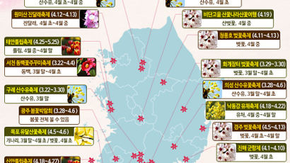 2014 봄꽃 지도, "오빠, 주말에 알지?" 갈만한 곳 보니