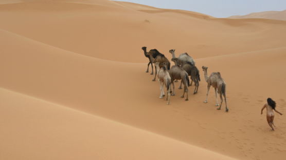 파격적 누드 퍼포먼스…김미루 사진전 '낙타가 사막으로 간 까닭은?' 
