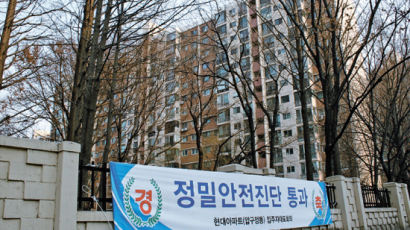 강남 압구정·대치·개포동 아파트 재건축사업 '봄 기지개'
