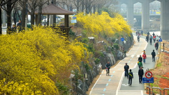 [사진] '봄, 꽃피는 봄이 왔어요.'