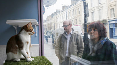 [사진] ‘6월까지 예약 꽉 찼어…’ 고양이 카페