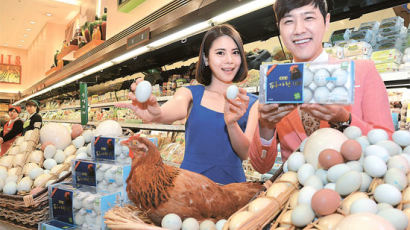 말고기·푸른달걀·양고기 … 유통가,이색 먹거리 경쟁