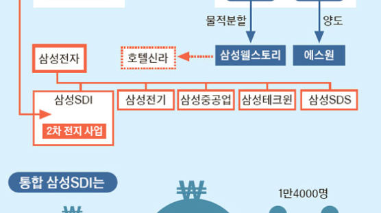[뉴스분석] 삼성 새판짜기, 60년 제일모직 간판 내렸다