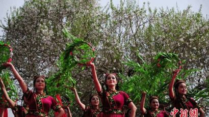 신장 ‘바단무 꽃 축제’ 개최…꽃과 함께 춤추는 미녀들 