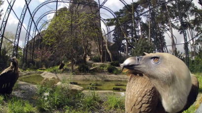 [사진] 파리의 브와드빈센느 동물원 4년만에 재개장