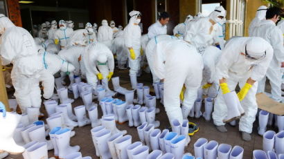 [사진] 일본 고병원성 조류독감 발생