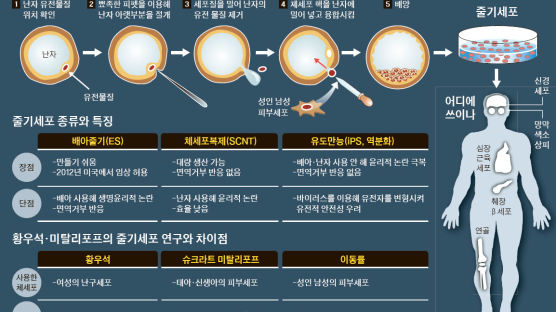 성인 체세포로 첫 성공 … 환자 맞춤치료 진일보
