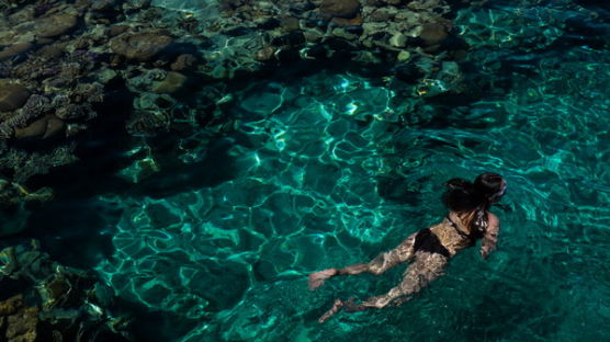 [사진] 햇볕 아래 투명한 바다 … '한가로운 휴일'
