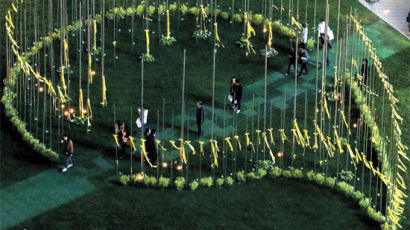 [사진] 서울광장 302개 기둥 '노란 리본 정원'