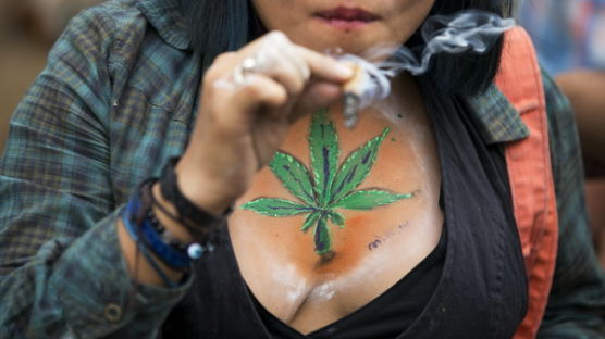 [사진] 논란 속 마리화나 합법화