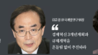 "세월호 충격 상쇄할 정책 총동원 해야"