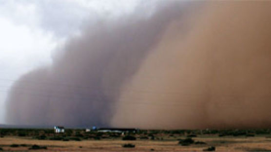 [사진] 황사 폭풍의 현장 1만 리 먼지바람길 가다