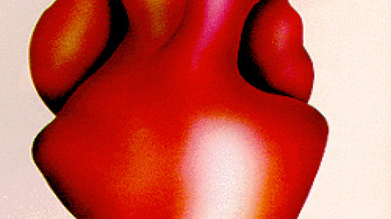 [김환영 기자의 뉴욕타임스 시사영어] Cardiology … Being active staves off heart disease for women