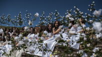 [사진] 스페인의 봄처녀들