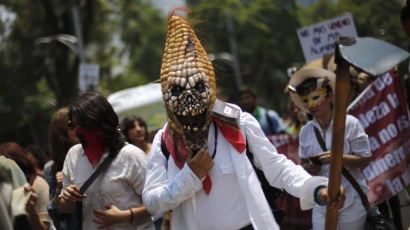 [사진] 'GMO 그만!' 멕시코 반(反)몬산토 행진