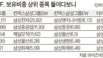 요즘 잘나가는 삼성그룹 ETF … 포트폴리오 따라 수익률 제각각