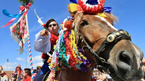 [사진] 체코 모라비아 전통행사 ‘왕들의 기마행렬’ 