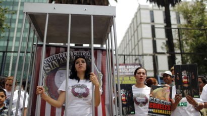 [사진] 동물 서커스 반대 시위 