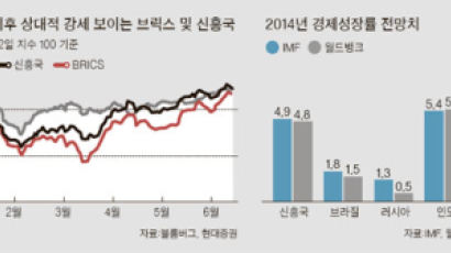 브릭스펀드, 미워도 다시 한번?